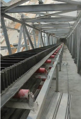 kopen Voor- en achteruitbandconveyor met polyethyleen buismateriaal 10-20m/min online manufacture