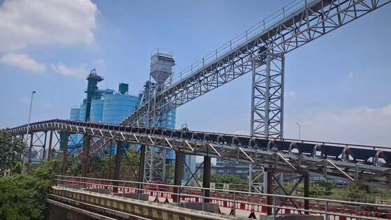 membeli Konveyor Rantai Tugas Berat Lebar yang Dapat Disesuaikan dengan Perawatan Rendah dan Jarak Rantai 12,7 Mm Hingga 50,8 Mm pembuatan online